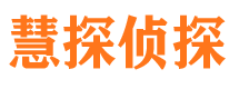 细河市侦探公司